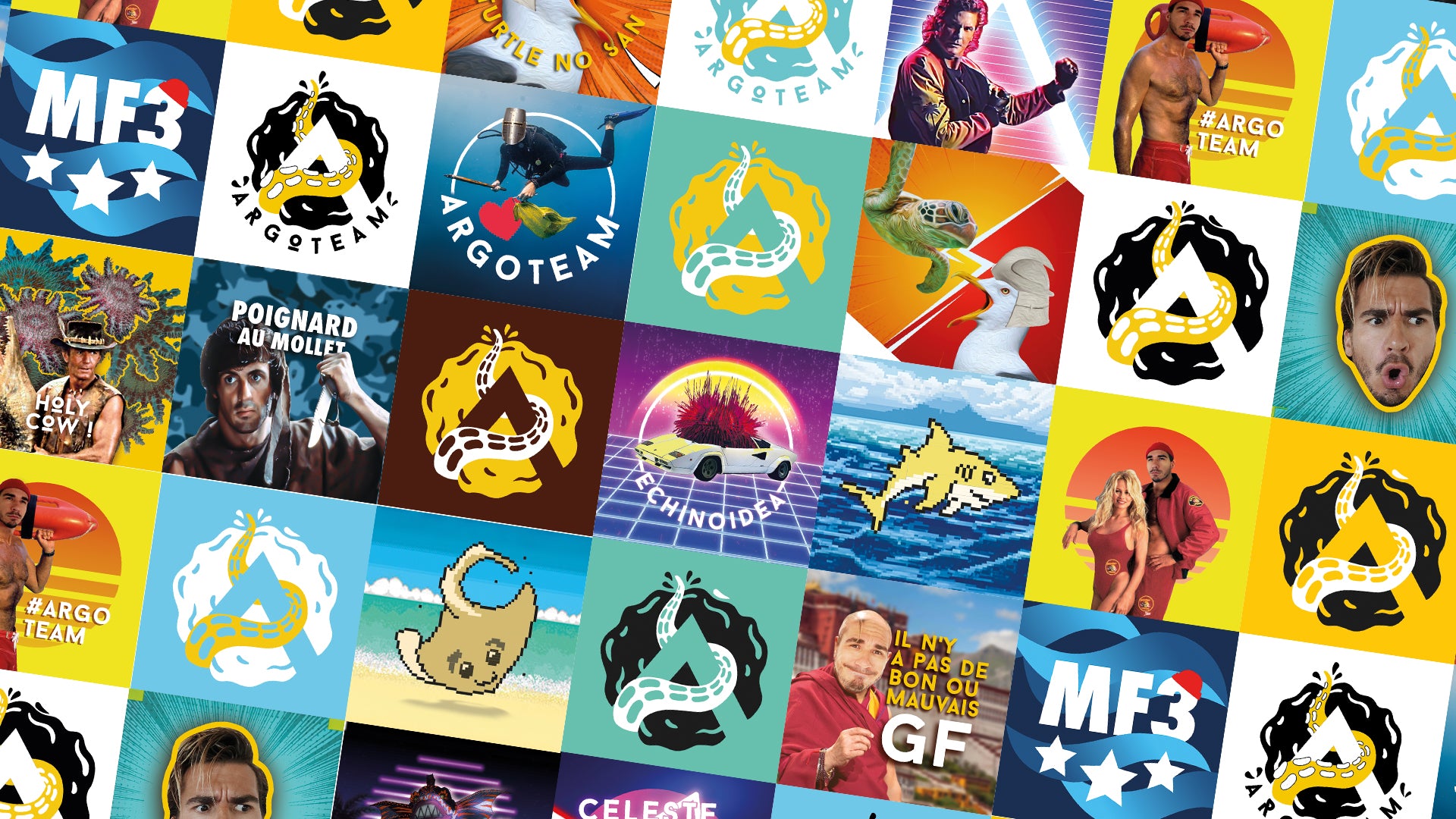 Charger la vidéo : 